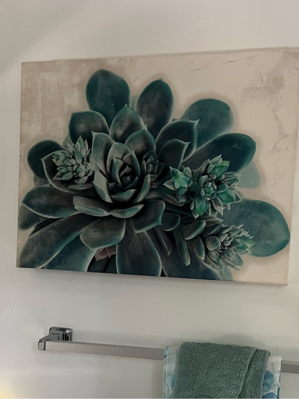 Teal Succulent canvas wall decor